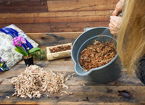 SuperMoss 7 59834 22303 0 Orchid Sphagnum Moss, 1400 in3 Bag (Appx. 32oz), Natural White - Image 4