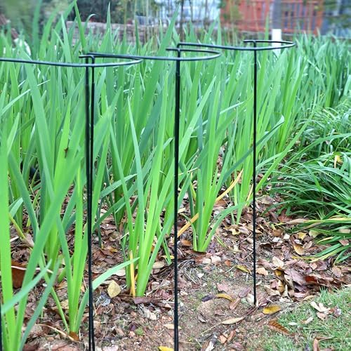 TCBWFY 14" Dx32 H Plant Supports Stakes for Large Heavy Plants,10Pack Peony Supports,Heavy Duty 5mm Wire Peony Cages,Interlock Garden Supports Ring Border Support,Plant Support Cage for Rose Flower - Image 6