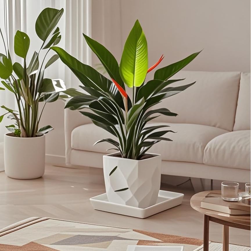 Square Ceramic Plant Saucer Tray 2 Pcs 8 9 10 Inch White, 9.3" OD x8.3 ID x1.3 Deep, Sturdy Heavy Duty Glazed Planter Drip Flower pots with Catch Basin for Indoor Outdoor Plants(10" White) - Image 4