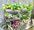 LaLaGreen Hanging Wall Planter (16 in, 3 Tier) Black Metal Succulent Herb - Image 5