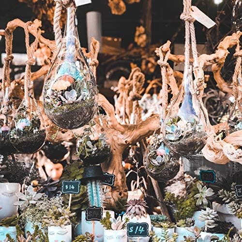 WGV Hanging Planter Terrarium, Width 7.5", Height 15", DIY Clear Glass Succulents Air Teardrop Floral Container (Including Rope), Candle Holder Vase for Outdoor Indoor Decor, 1 Piece - Image 7