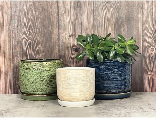 Aspen & Fig Jungle Green 8 Inch Indoor Ceramic Plant Pot with an Attached Saucer and Drainage Hole for House Plants, Herbs, Flowers, Succulent Plants, Snake Plants, Gifts for Mom, Standard Pot - Image 2