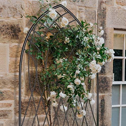Amagabeli 2 Pack Large Garden Trellis for Climbing Plants 75” x 31” Heavy Duty Rustproof Black Iron Plant Trellis for Potted Plants Support Tall Wall Metal Trellis for Rose Vegetables Cucumber GT05 - Image 7
