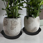 2 Pack of 25 26 inch Plant Saucer Round, 4.2" Depth Tray, Large Plant Saucers 24" 26" for Pots, Heavy Duty Plastic Flower Plant Water Trays for Indoors Outdoor, Plant Drip Trays (Black) - Image 6