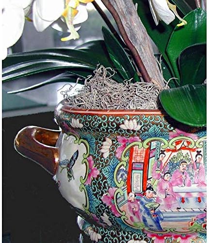 Mosser Lee Spanish Moss – Natural Decorative Moss for Houseplants, Soil Cover, Crafts, Terrariums & Floral Arrangements - 2.4 Cubic Foot - Image 3