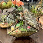 WGV Geometric Planter Terrarium Bulk, Width 8" Height 8.5" Clear Glass Black Frame DIY Succulent air Plant Miniature Fairy Garden Windowsill Tabletop Decor, Tilted Cube 12 Pieces - Image 5