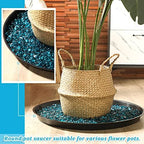 Eccliy 6 Pack Plastic Plant Saucer, Round, 25 Inch, Black - Image 4
