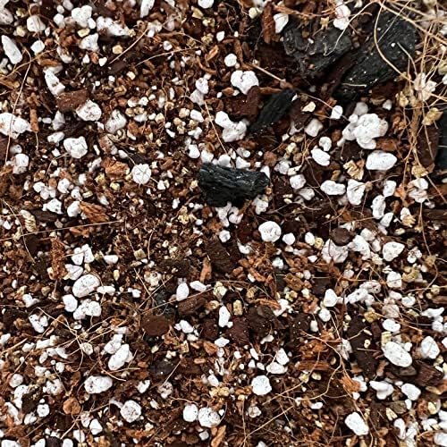 Spider Plant Imperial Houseplant Potting Soil Mix by rePotme - Junior Bag (4 Quarts) - Image 4