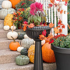 Bloem GU180-00 Chili Windowsill Planter, Black, 32" - Image 2