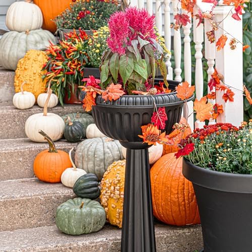 Bloem GU180-00 Chili Windowsill Planter, Black, 32" - Image 2
