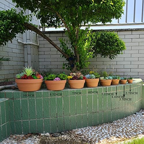 Yishang 3.5 Inch Shallow Terra Cotta pots,Ceramic Clay Planter with Drain Hole for Succulent & Cactus Nursery Planter, DIY Craft Projects, Wedding and Party Favors (Pack of 3) - Image 5