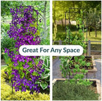 Sunnydaze 48" Black Metal Garden Trellis for Climbing Plants, 2-Pack - Image 3