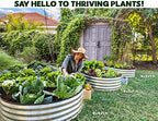 Plant & Plot Galvanized Raised Garden Beds Outdoor // 4×2×1 ft (2-Pack) Planter Raised Beds for Gardening, Vegetables, Flowers // Large Metal Garden Box (Silver) // Patented Tool-Free Design - Image 4