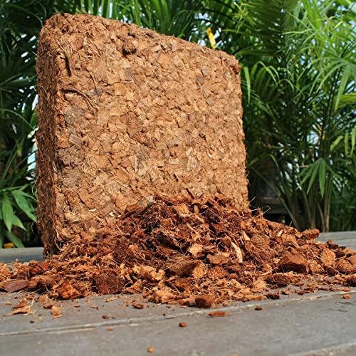 Coco Chips Mulch Brick (10lbs) - 100% Organic Mulch Medium for Garden Beds, Landscaping, & Outdoor Plants - Compressed Coconut Husk Chips - Retains Moisture in Potting Soil & Containers - Image 7