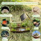 Ready-to-Use Glass Terrarium with Vents - 8.66"x4.72"x8.46" House-Shaped Jumping Spider Enclosure, Habitat for Praying Mantis, Snails, Insect or Succulent Plants - Home Garden Tabletop Decor - Image 3