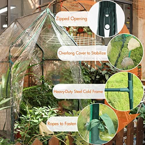 Gardzen Mini Greenhouse 36.2”(L) x36.2”(W) x59.5”(H) - Image 3