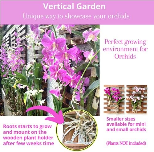 ShopLaLa Wooden Wall Planter (120cm, 2 Pack) Wooden Hanging Flower Plants - Image 3