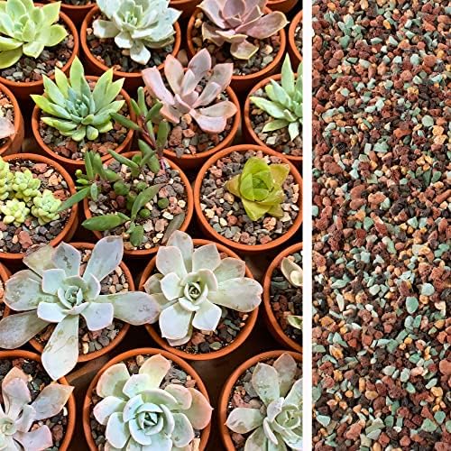 18lb Mix Lava Rocks for Plants in Door -Gravel Pebbles for Bonsai Succulent Cactus Potting Soil and Vase Fillers, Fairy Gardening,Top Dressing - Image 6
