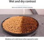 Japanese Hard Akadama Soil for Plants | Large Grain, 22 lb⁠ - Image 4