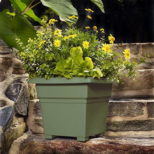 Root & Vessel Countryside Square Tub Planter, Sage, 18-Inch - Image 5