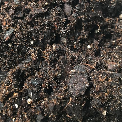 Fern Growing Soil Mix – 4 Quarts - Custom Soil Blend – Potting Mix for Fern Plants – Specially Developed by and for Professional Nursery Growers - Nutrient-Rich Formula - Image 3