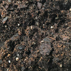 Fern Growing Soil Mix – 4 Quarts - Custom Soil Blend – Potting Mix for Fern Plants – Specially Developed by and for Professional Nursery Growers - Nutrient-Rich Formula - Image 3