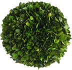 Decorative Boxwood Balls for Bowls and Decorative Balls for Centerpiece Bowl Fillers Vase Fillers Home, Kitchen, Living Room Decor (6 inch) by BOXWOODWORLD