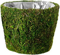 SuperMoss (55204 Carmel Deco Basket, Fresh Green, 10in Drop in by SuperMoss