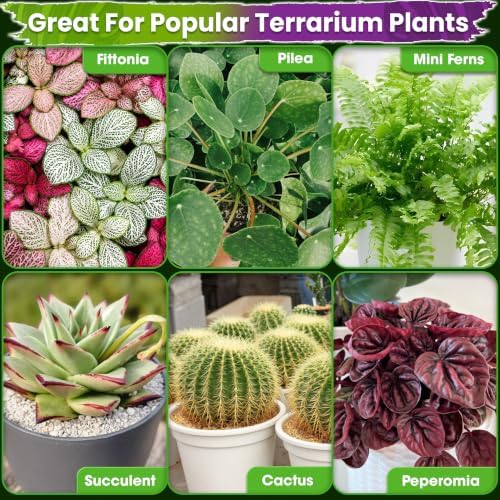 DUSPRO 6-in-1 Terrarium Soil Mix, Pre-Mixed & Ready to Use, 8QT - Image 5