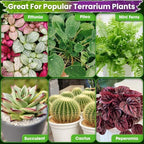 DUSPRO 6-in-1 Terrarium Soil Mix, Pre-Mixed & Ready to Use, 8QT - Image 5