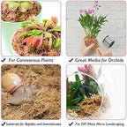 Halatool 2.2 LB Sphagnum Moss for Plants, 40 QT Long Fiber Orchid Moss - Image 6