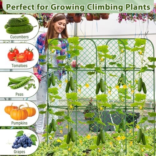 Cucumber Trellis for Garden, Upgrade U-Shaped Metal Garden Trellis Plant Grow Support Frame for Climbing Plants Vegetable Flower Fruits Vine Raised Bed with Netting, Instruction, Garden Tools, Green - Image 5
