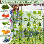 Cucumber Trellis for Garden, Upgrade U-Shaped Metal Garden Trellis Plant Grow Support Frame for Climbing Plants Vegetable Flower Fruits Vine Raised Bed with Netting, Instruction, Garden Tools, Green - Image 5