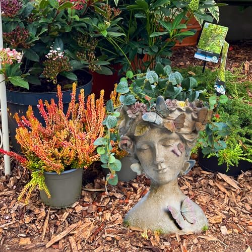 Face Flower Pot Head-Planters Succulent - 10 Inch Garden Resin Face Planter with Drainage Hole for Indoor and Outdoor Plant 7.75 * 6.75 * 10 Inch - Image 6
