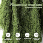 Preserved Green Moss Mat for Decoration Carpet Grass Wall, Natural Decorative for Plants Indoor with Base Fabric, Artificial Moss Mat for Wedding, Floral DIY (39.37 * 78.74 inch) - Image 6