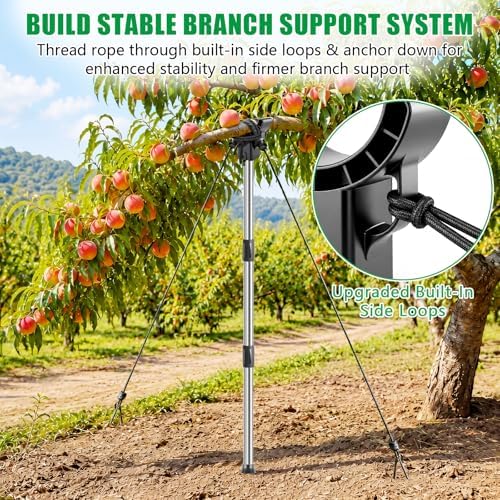 2 Set Adjustable Tree Branch Support, 18"-60" Tree Support Pole with Crutch - Image 4