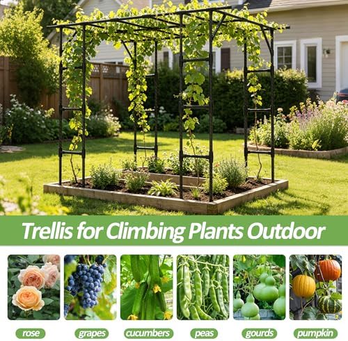 Grape Vine Trellis,Heavy Duty Metal Plant Support Trellis-96L*62W*79H in - Image 6