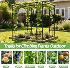 Grape Vine Trellis,Heavy Duty Metal Plant Support Trellis-96L*62W*79H in - Image 6