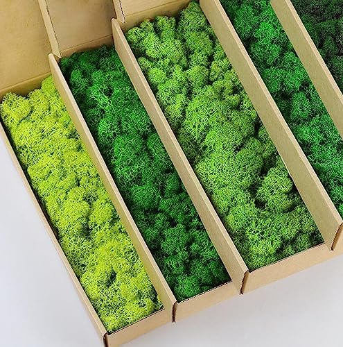Preserved Reindeer Moss Natural Green DIY Kit Gardenning Art Wall Decor Florist Decor Easter Table Decor Wedding by %E7%8E%B0%E5%9C%A8%E8%B4%AD%E4%B9%B0