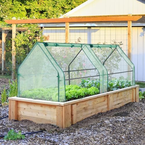 Ohuhu Portable Mini Greenhouse, 71"x36"x36" Greenhouses for Outdoors with Dual Large Zipper Doors & Ground Stakes, Waterproof & UV Protected Plastic Green House for Outside Garden Patio Backyard - Image 6