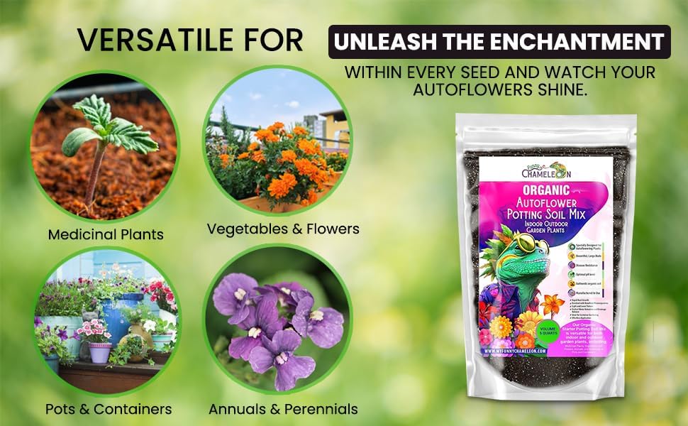 Organic Autoflower Potting Soil Mix – Ready-to-Use Living Soil, No Fertilizers Needed – Balanced Nutrients, Light Texture, Excellent Drainage, Boosts Germination & Root Growth (4 QUARTS) - Image 5