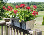 Achla Designs Embossed Galvanized Flower Window Box Planter, 24-in - Image 6