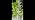 JESLED 15 Tiers Hydroponics Growing System Kits with 5000K Grow Lights×4 - Image 7