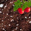 GARDENWISE Coco Perlite - Coco Coir Perlite Mix - 70/30 Growing Media - Hydroponic, Indoor & Outdoor, Grow Bags & House Plants (30 quarts - 1 cu ft) by GARDENWISE