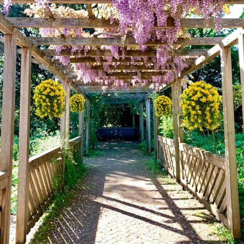 INQCMY Fake Hanging Flowers with Basket Artificial Violet for Outdoor Porch - Image 4