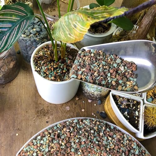 15lb Mix Horticultural Lava Rock Pebbles Pumice Potting Soil Amendment Succulent Cactus Bonsai Gritty Rock Decorative Gravel Plant Drainage Volcanic Rock for Aquarium Fairy Gardening Top Dressing - Image 6