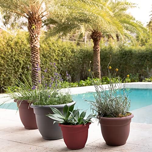 Bloem Ariana Self Watering Planter: 12" - Burnt Red - Durable Resin Pot, for Indoor and Outdoor Use, Self Watering Disk Included, Gardening, 3 Gallon Capacity - Image 5