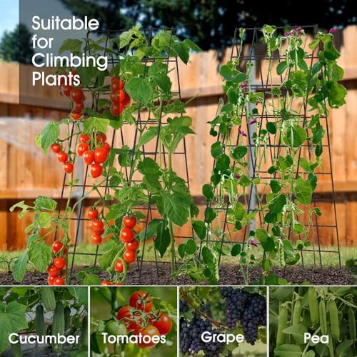 RIFNY Cucumber Trellis for Raised Bed, Garden Trellis 16.5 x 60 Inch, Black - Image 7