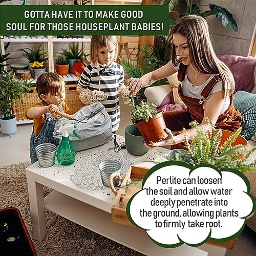 40QT Horticultural Perlite Bulk, Organic Perlite for Plants, Course Perlite for Gardening, for Plants Indoor, for Houseplants, to Promotes Soil Root Growth, and Water Drainage and Plant Growth(3-6mm) - Image 3