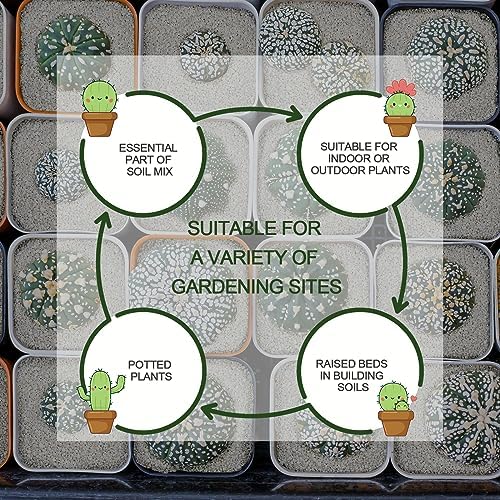 30QT Horticultural Perlite Bulk, Organic Perlite for Plants, Course Perlite for Gardening, for Plants Indoor, for Houseplants, to Promotes Soil Root Growth, and Water Drainage and Plant Growth(3-6mm) - Image 6